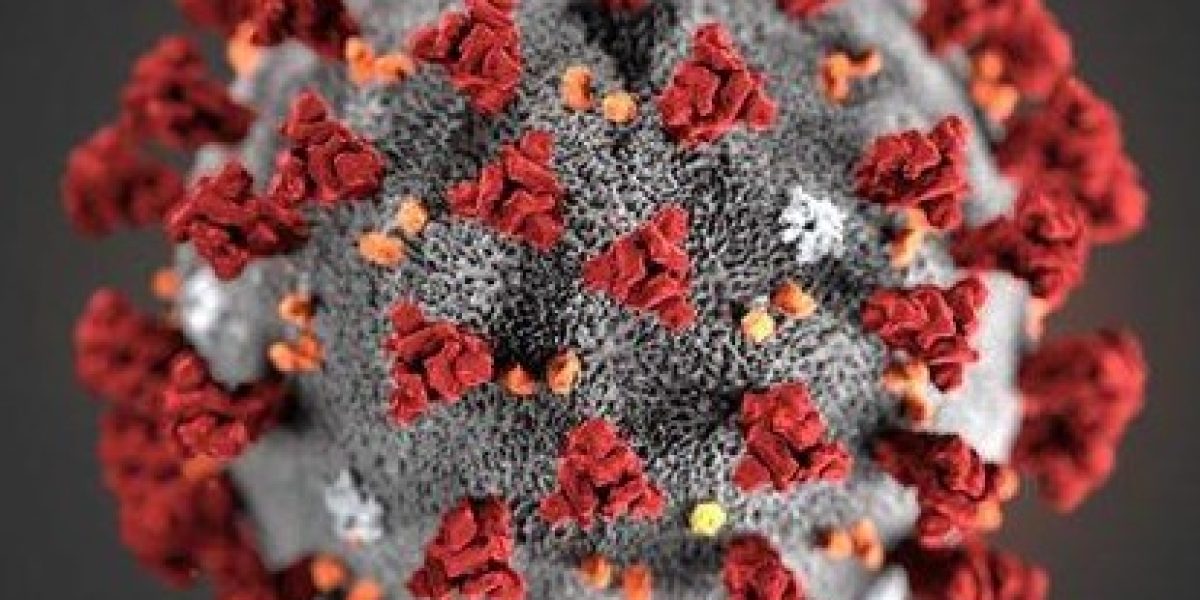 Coronavirus