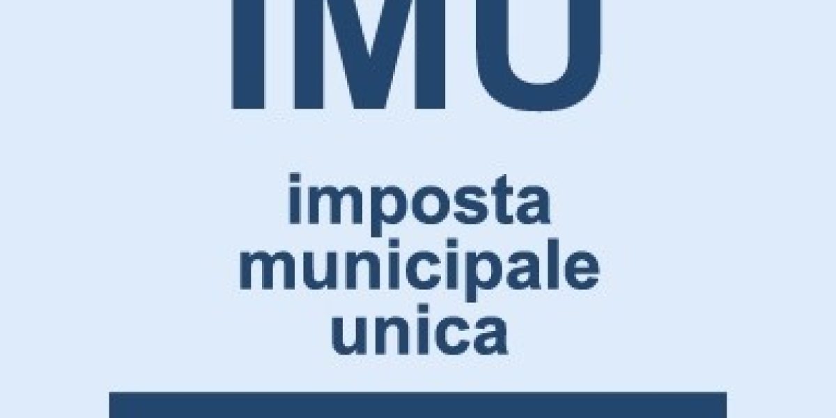 IMU
